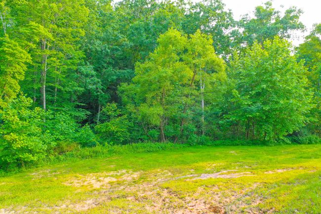 15 April Ln, House other with 5 bedrooms, 2 bathrooms and null parking in Corbin KY | Image 28