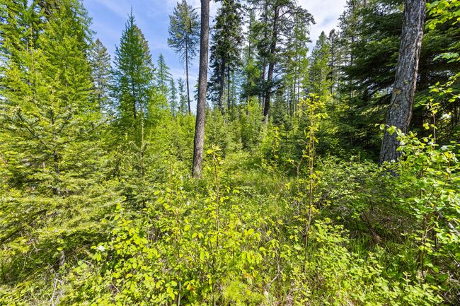 397 Saddlehorn Trl, Home with 0 bedrooms, 0 bathrooms and null parking in Bigfork MT | Image 30