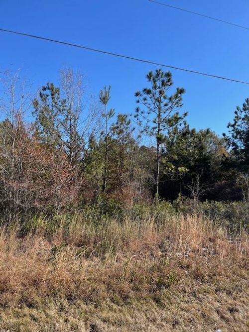 0 Locklier Rd, Homerville, GA, 31634 | Card Image