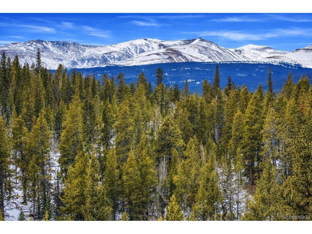 Land in Alma 5