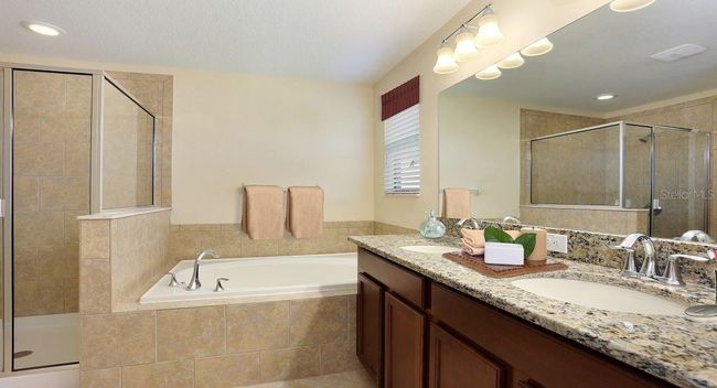6738 Back Forty Loop, House other with 4 bedrooms, 3 bathrooms and null parking in ZEPHYRHILLS FL | Image 6