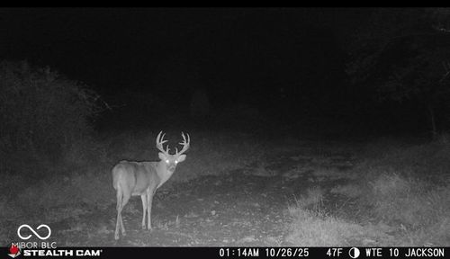 2000 Block W 1125 N, Freetown, IN, 47235 | Card Image