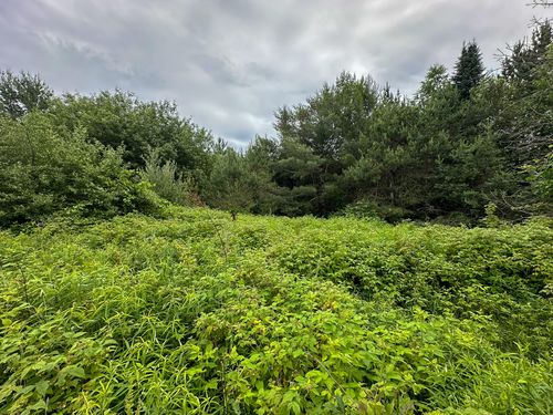 40 Everett Rd, Roscommon, MI, 48653 | Card Image