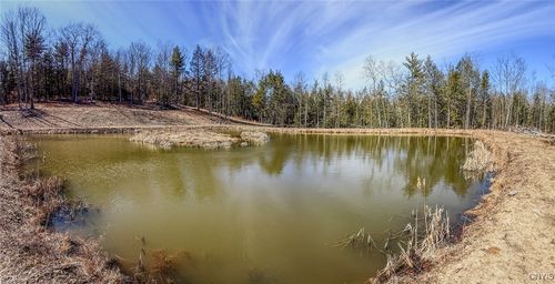 00 Black Ash Road, Woodhull, NY, 14898 | Card Image