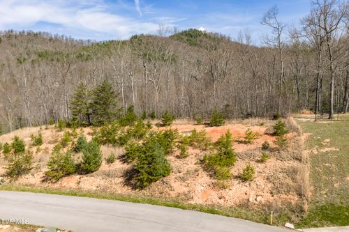 Lot 47 Homestead Drive, Unicoi, TN, 37692 | Card Image