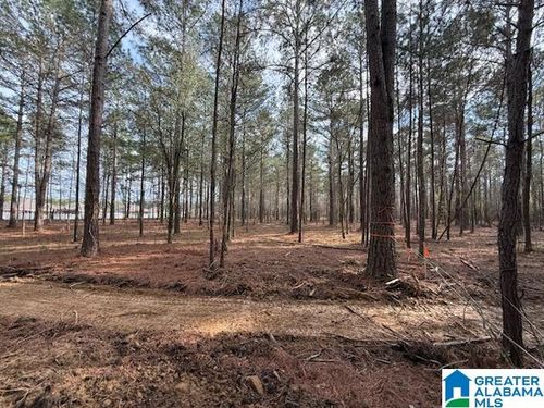 05-05 Club House Road, Sylacauga, AL, 35150 | Card Image