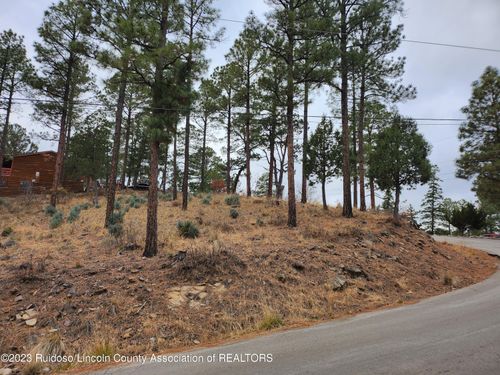 138 King Richard Dr, Ruidoso, NM, 88345-9389 | Card Image