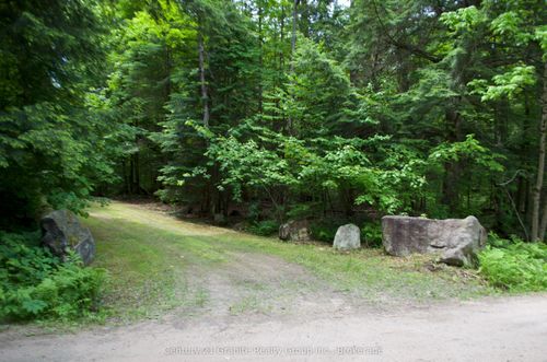 Lot 10 Loon Lake Road S, Dysart et al, ON, K0M1S0 | Card Image