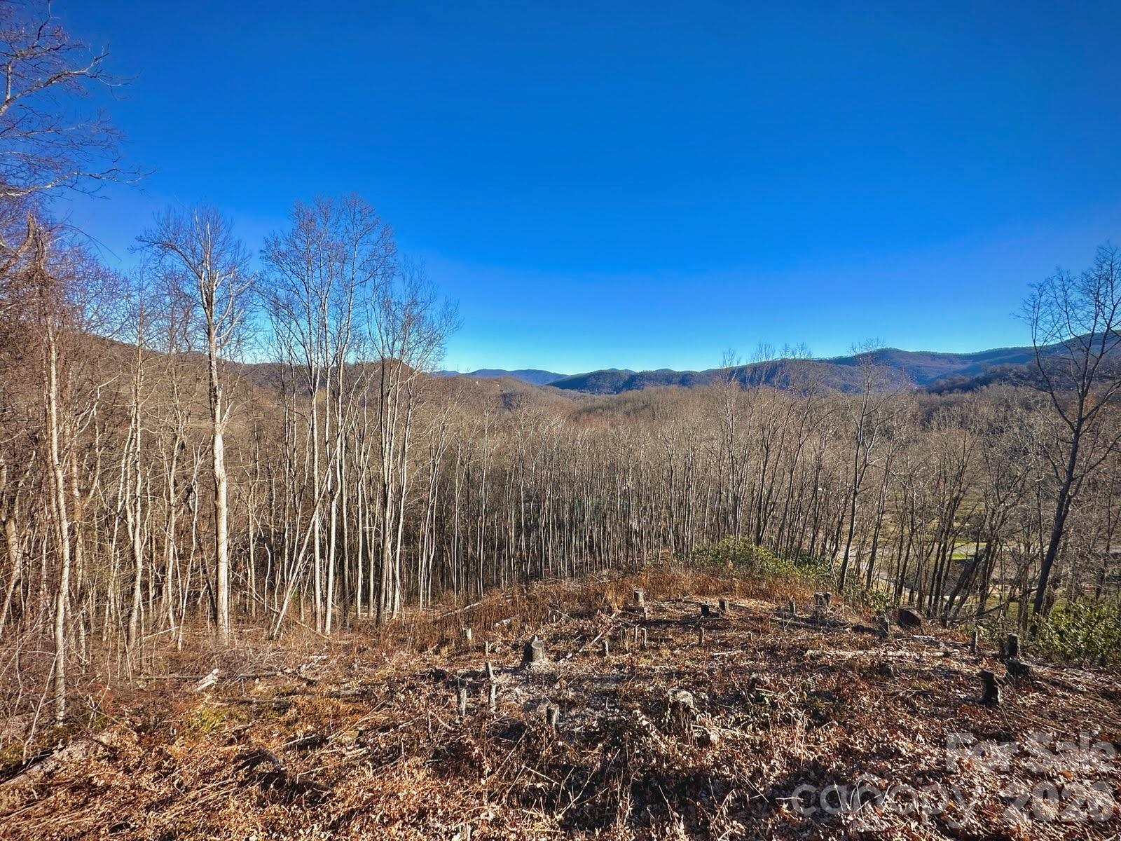 Land in Waynesville 3