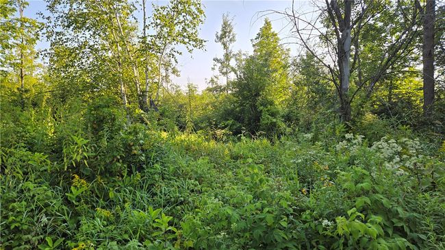 2984 N Weirgor Rd, House other with 4 bedrooms, 1 bathrooms and null parking in EXELAND WI | Image 25