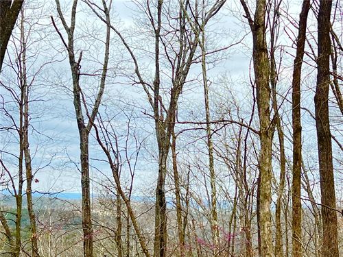 TBD Cr 246 265-00160-000, Berryville, AR, 72616 | Card Image