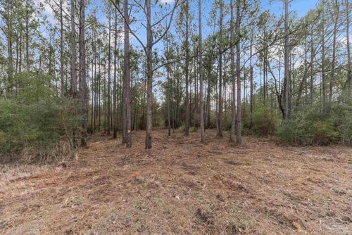 Lot #10 Bermuda Ln, Seminole, AL, 36574 | Card Image
