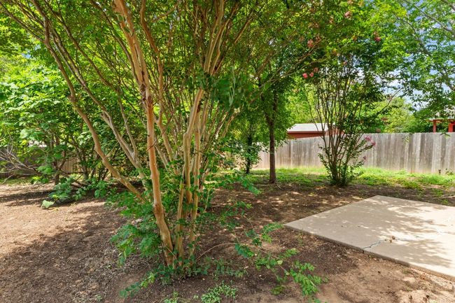 The tree-filled backyard is well shaded and includes a delicious fig tree. | Image 25