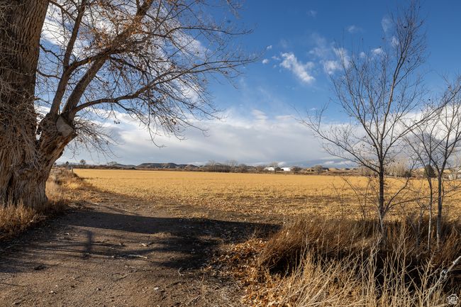 View of landscape featuring a rural view | Image 4