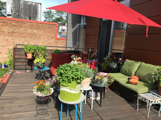 UNIT-2S - 2041 W Roscoe St, Condo with 3 bedrooms, 2 bathrooms and 1 parking in CHICAGO IL | Image 35
