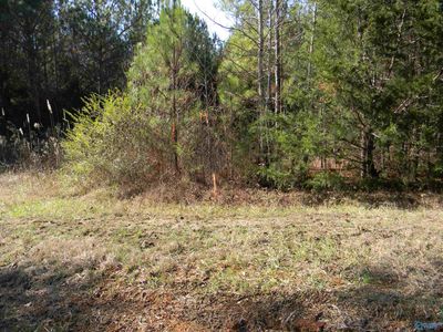 Tracks 3-4-5 County Road 143, Home with 0 bedrooms, 0 bathrooms and null parking in Gaylesville AL | Image 1