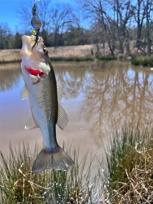 7275 Leavenworth Trl, Mead, OK, 73449-6191 | Card Image