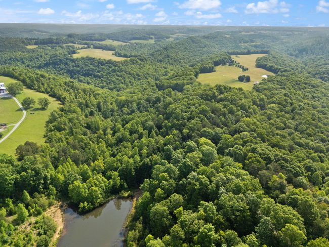 225 Hilltop Rd, Home with 3 bedrooms, 3 bathrooms and null parking in East Bernstadt KY | Image 81
