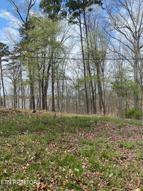Lot 429 Mayflower Ln, Dandridge, TN, 37725 | Card Image