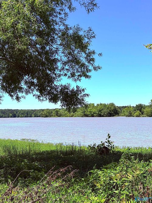 Lot 41 County Road 1008, Cedar Bluff, AL, 35959-4900 | Card Image