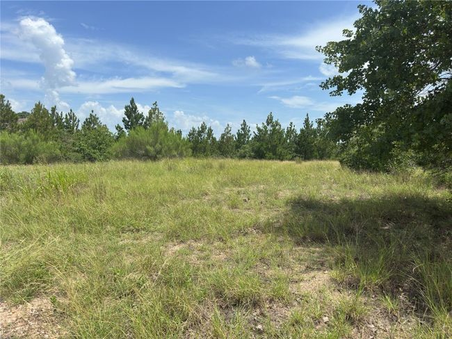 View of lot | Image 4