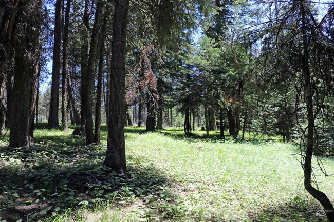 43529 Yellow Pine Ave, House other with 2 bedrooms, 2 bathrooms and 2 parking in Winchester ID | Image 44