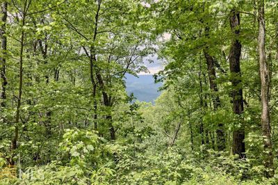 LOT-9 - 0 Deep Woods, Home with 0 bedrooms, 0 bathrooms and null parking in Rabun Gap GA | Image 2