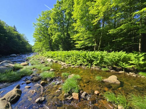 Lot 67-C Temple Rd, Temple, ME, 04984 | Card Image