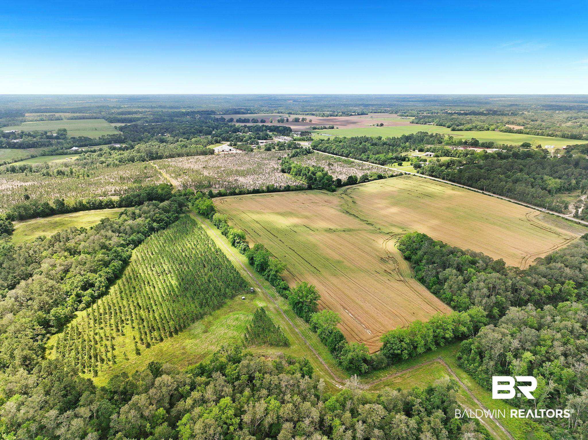 Land in Robertsdale 3