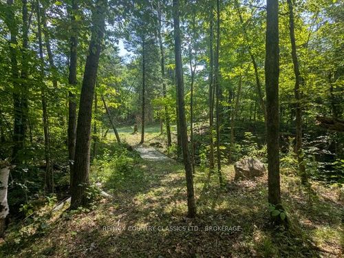 1251 Buckshot Lake Rd, Cloyne, ON, K0H1K0 | Card Image