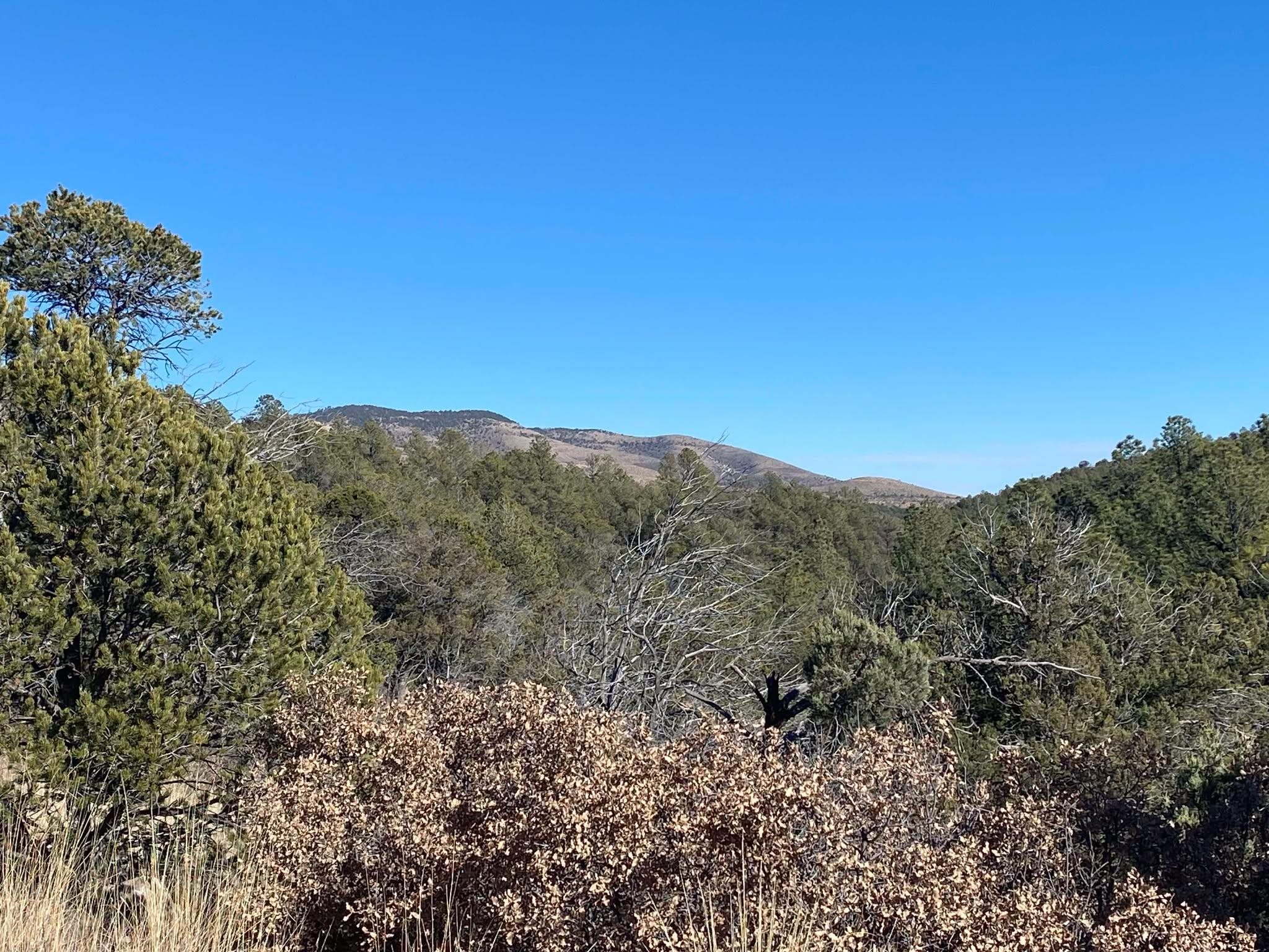 Land in Timberon 3