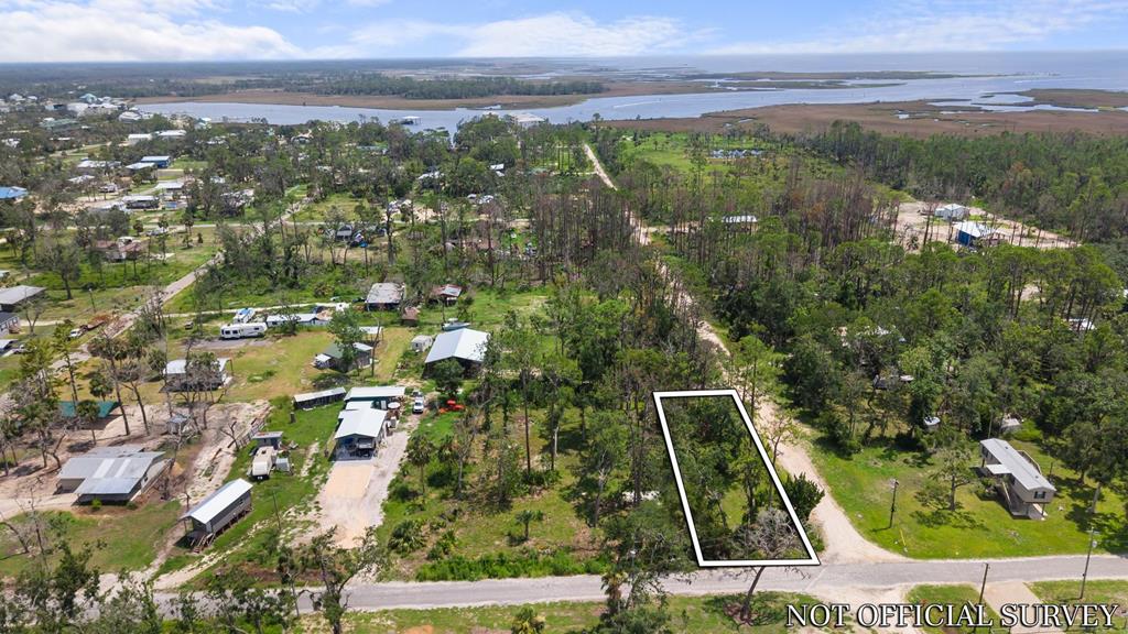 Land in Steinhatchee 4