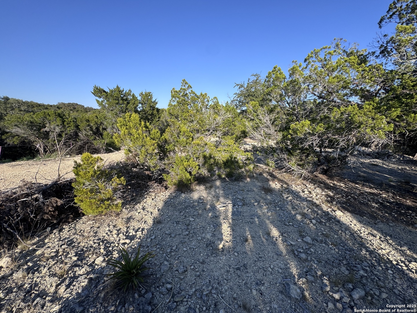 Land in Bandera