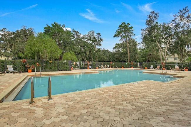 15867 Fishhawk View Dr, Townhouse with 2 bedrooms, 3 bathrooms and null parking in LITHIA FL | Image 22