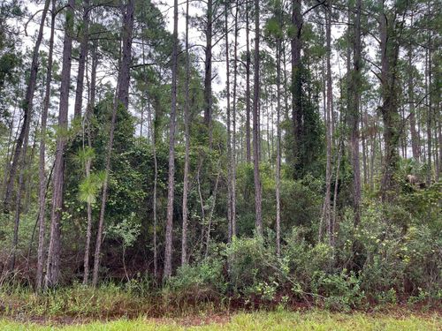 117 Mosswood St, GEORGETOWN, FL, 32139-2819 | Card Image