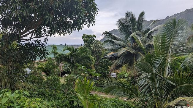 3F - 53-354 Kamehameha Hwy, Home with 0 bedrooms, 0 bathrooms and null parking in Hauula HI | Image 7