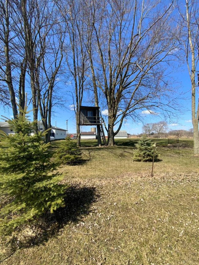 50171216-0c86b32f-d1d7-4654-8074-71a75943282d.JPG | Image 47