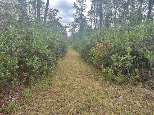 1106 Greenbriar Dr, Home with 0 bedrooms, 0 bathrooms and null parking in CHRISTMAS FL | Image 5