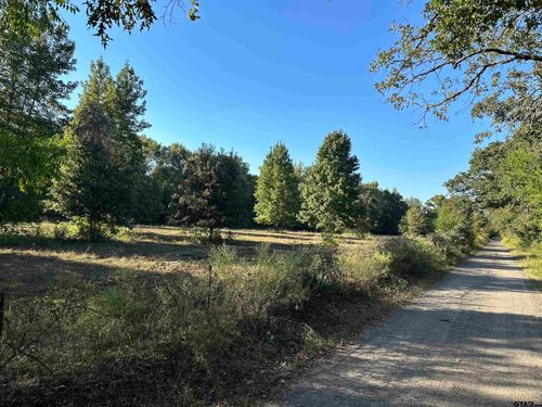 TBD County Road 3701, Murchison, TX, 75778 | Card Image