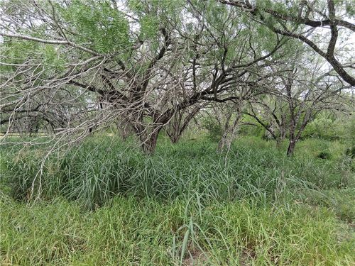 0 Swinney Switch Dr, Mathis, TX, 78368 | Card Image