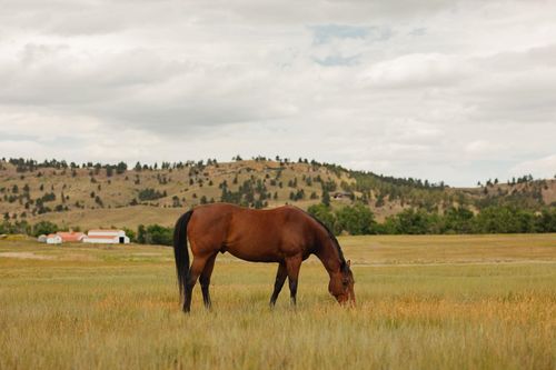 TBD Robinson Rd, Belle Fourche, SD, 57717 | Card Image
