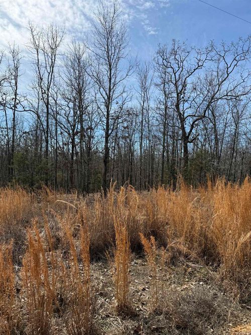 lot-10-43 Megan Ln, Conway, AR, 72032-8062 | Card Image