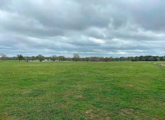14803 Fm 322, House other with 6 bedrooms, 3 bathrooms and null parking in Elkhart TX | Image 6