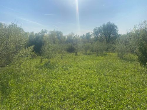 Parcel C Golf Rd, Elba Township, MI, 48446 | Card Image