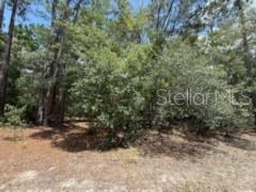 109 Pinellas St, Florahome, FL, 32140 | Card Image