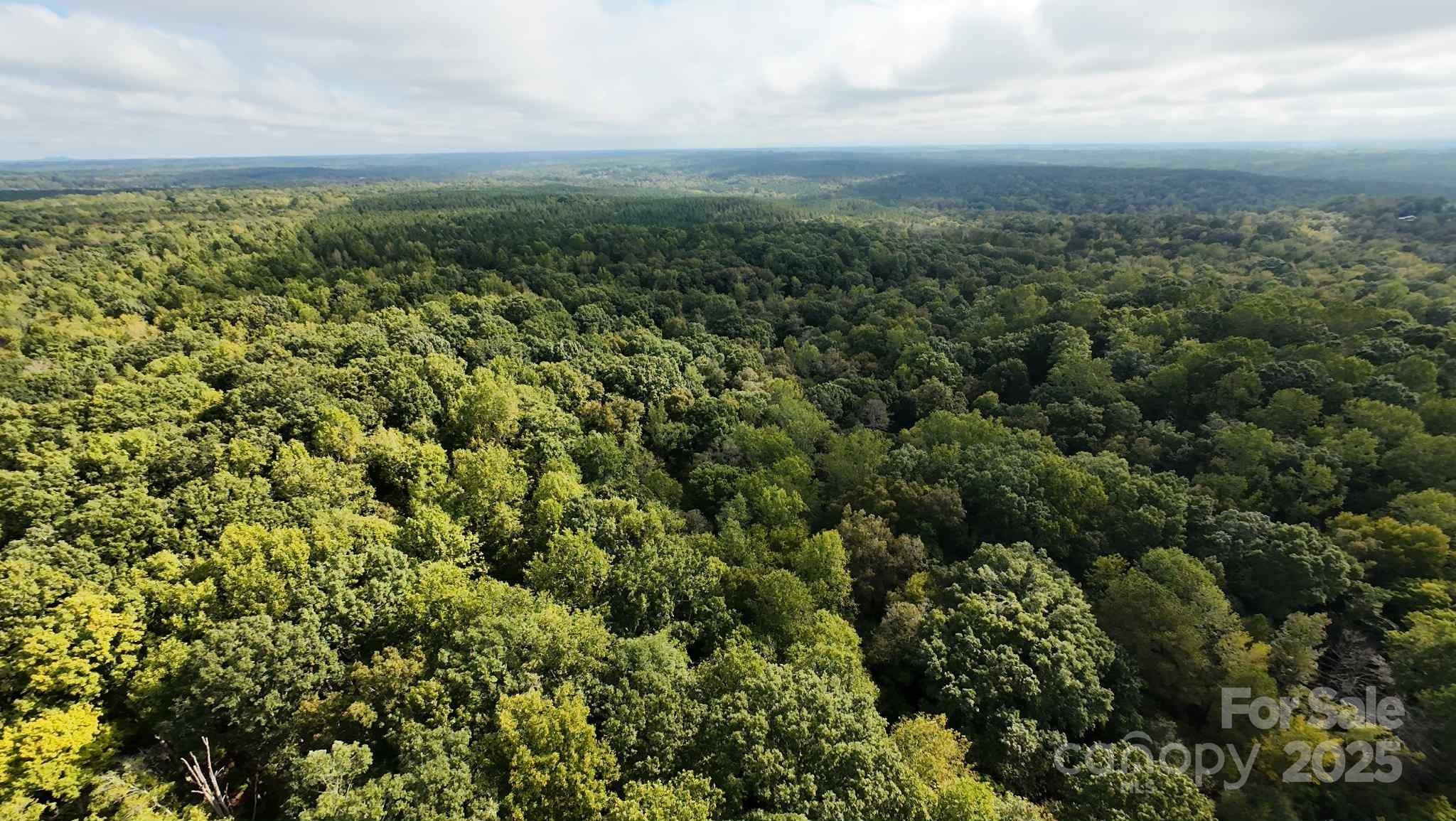 Land in Sharon 3