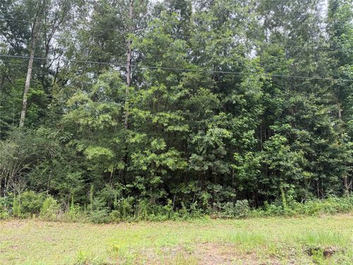 TBD Buffalo Subdivision, Livingston, TX, 77351 | Card Image