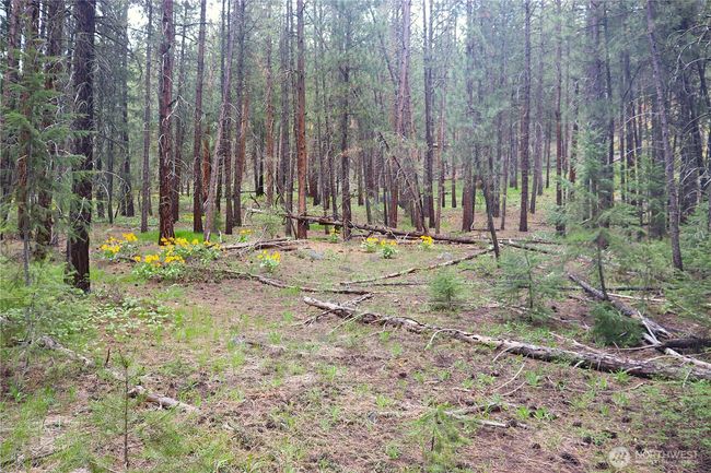 799 Twisp River Rd, Home with 0 bedrooms, 0 bathrooms and null parking in Twisp WA | Image 26