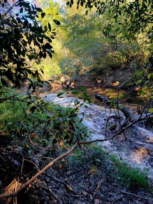 19 Walton Bridge Rd, Ponce De Leon, FL, 32455 | Card Image