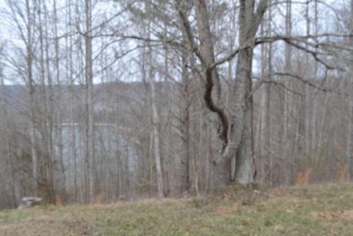 Lots 4&5 Fox Hill Rd, Baxter, TN, 38544 | Card Image